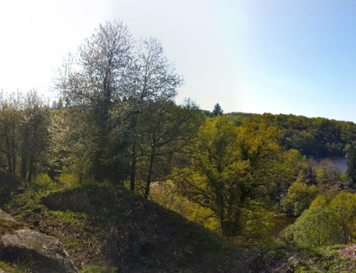 Que faire en cas de refus de congé ?